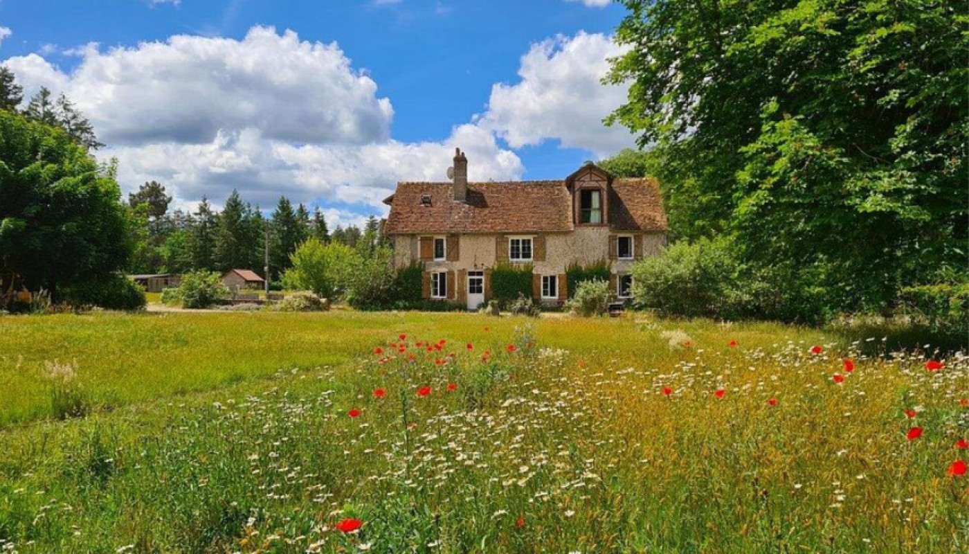 Sologne : Le Moulin de Crouy, un gîte en pleine nature vous attend !